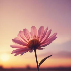 Віють вітри, віють буйні