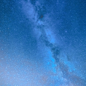 Serenity Of The Seas