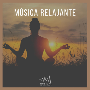 Musica Relajante Con Sonidos del Mar