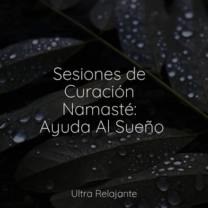 Posponer Lentamente