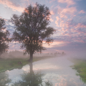 Creek