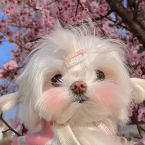 结束致辞