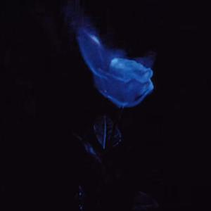 Shut Up And Listen I Do This Often