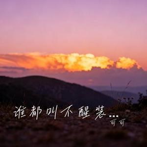 谁都叫不醒装睡的人 (Cover 王佳音)