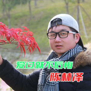 爱过就不后悔（2025版）—陈林泽