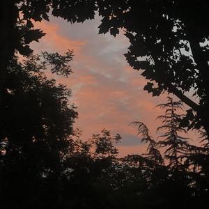 追光者（光遇钢琴曲）