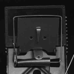 A.The Order Of Death