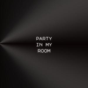PARTY IN MY ROOM