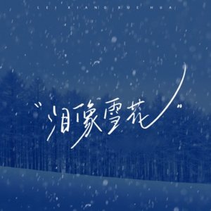 泪像雪花 -电音