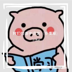 我们的命中注定（抒情版）