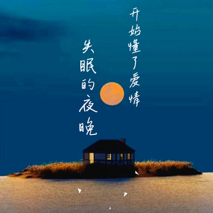 开始懂了爱情（治愈纯音乐）