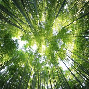 酒狂(吉他版)(Hidden Track)