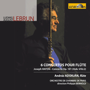 Concerto in D Major, Op. 101, Hob. VIIb:2: I. Allegro moderato