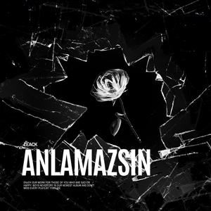 Anlamazsın