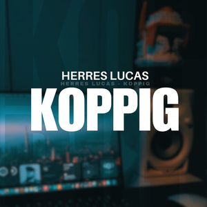 Koppig