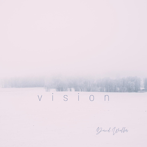 Vision