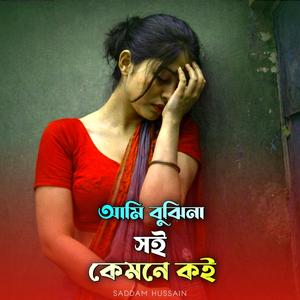 আমি বুঝি না সই কেমনে কই