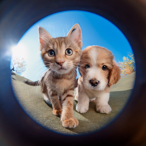 Momentos Silenciosos Junto A La Puerta