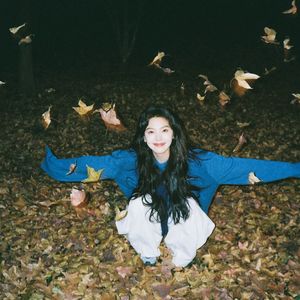 琥珀里的季风眼（R）