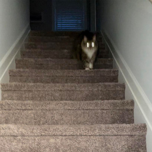 todo va a estar bien