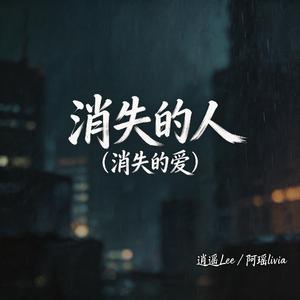 消失的人（消失的爱）