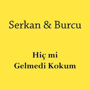 Hiç mi Gelmedi Kokum