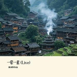 一荤一素 (Live)（Cover 毛不易）