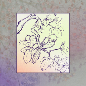 Here Comes the Better Days