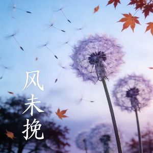风未挽 (Remastered)