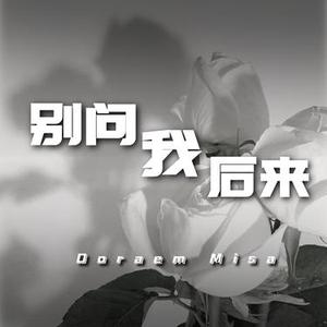 别问我后来