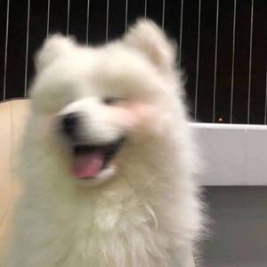 小蘑菇乐园