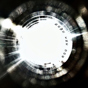 Down the Dog (Radio Edit)