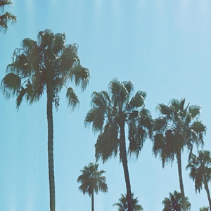 IMY (feat. IV & Owell Mood)