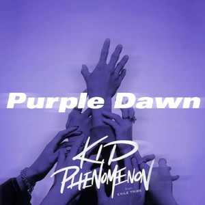 Purple Dawn（翻自KID PHENOMENON）