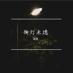 街灯未熄（完整版）