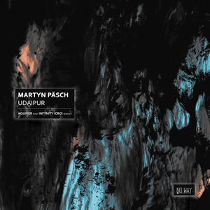 Udaipur (Aquiver Remix)