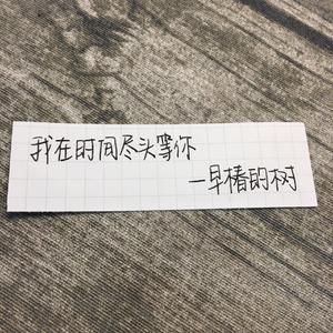 胡话日记（cover王圣夫）（Cover ）