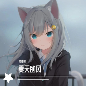 夏天的风(温柔女声版)（cover：温岚）