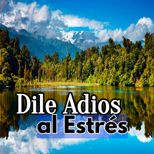 Verabschieden Sie Sich Vom Stress