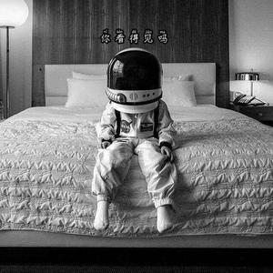 Epik High&李夏怡-你看得见吗（3KL remix）