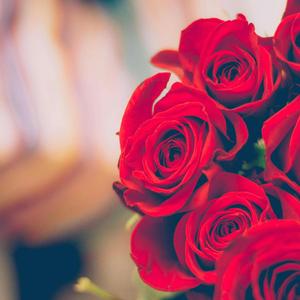 Für mich soll´s rote Rosen regnen