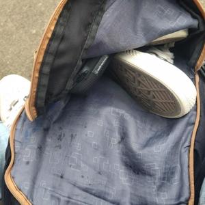 再也不是迷失的animal