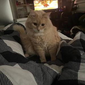 Wait4U (feat. Slxxpy Paralysis)