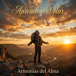 Aprende a Volar