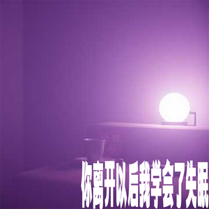 你离开以后我学会了失眠
