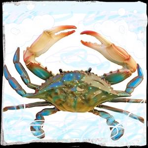 Tong, Tong, Tong (feat. Mista Cookie Jar)