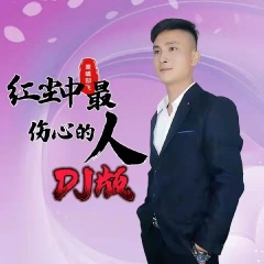 红尘中最伤心的人 (DJ版)