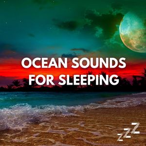 Sounds of The Ocean - Loopable with No Fade