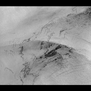 two cicadas guard the Gate