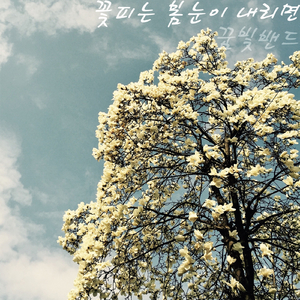 꽃피는 봄눈이 내리면